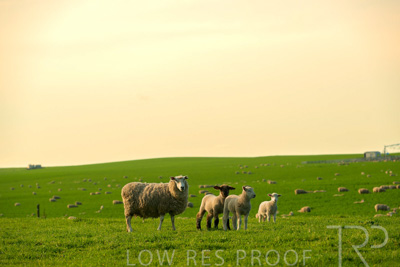 October 2022 / Mt-Shank-221017-3708