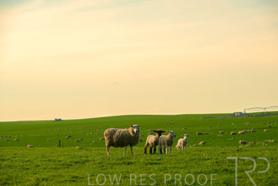 October 2022 / Mt-Shank-221017-3711