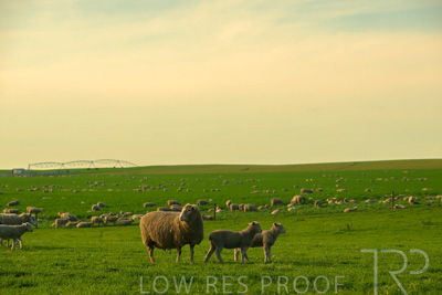 October 2022 / Mt-Shank-221017-3723