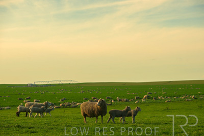 October 2022 / Mt-Shank-221017-3725