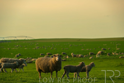 October 2022 / Mt-Shank-221017-3728