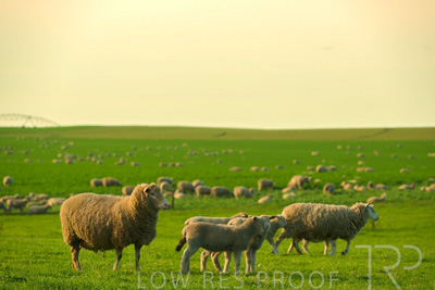 October 2022 / Mt-Shank-221017-3738