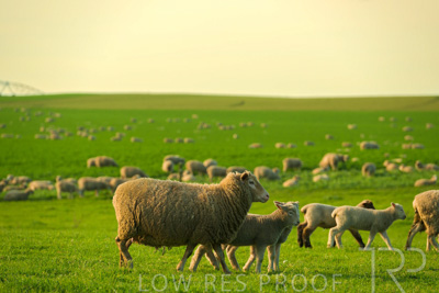 October 2022 / Mt-Shank-221017-3740