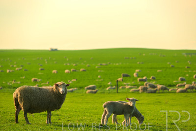 October 2022 / Mt-Shank-221017-3745