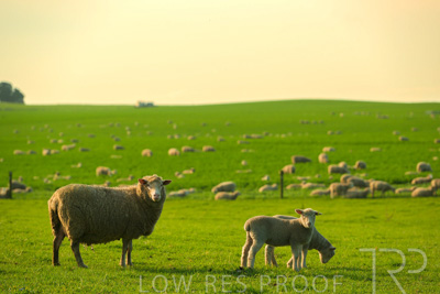 October 2022 / Mt-Shank-221017-3746