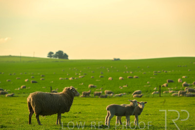 October 2022 / Mt-Shank-221017-3753