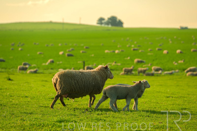 October 2022 / Mt-Shank-221017-3760