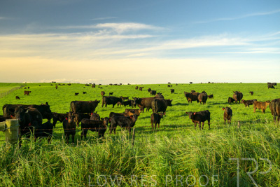 October 2022 / Mt-Shank-221017-3763