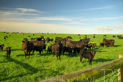 October 2022 / Mt-Shank-221017-3771