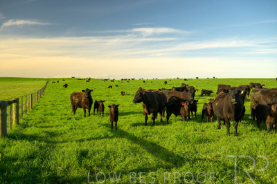 October 2022 / Mt-Shank-221017-3772