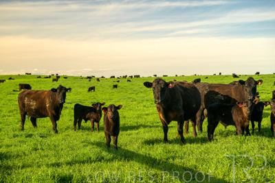 October 2022 / Mt-Shank-221017-3777