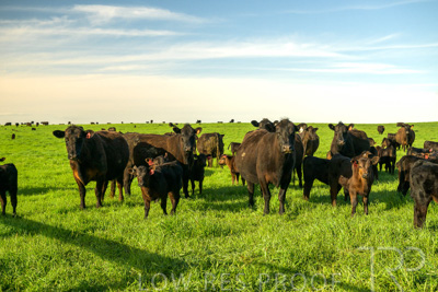 October 2022 / Mt-Shank-221017-3783