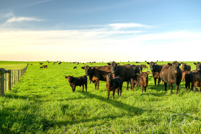 October 2022 / Mt-Shank-221017-3785