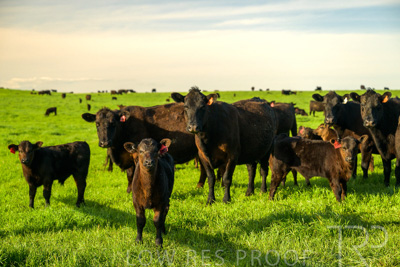 October 2022 / Mt-Shank-221017-3796