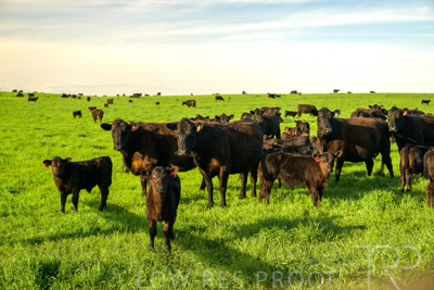 October 2022 / Mt-Shank-221017-3801