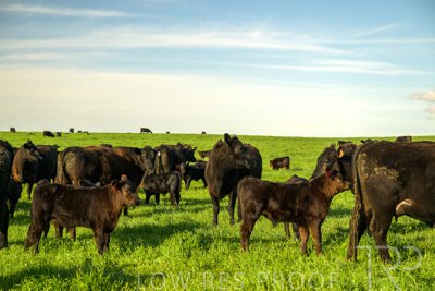 October 2022 / Mt-Shank-221017-3809