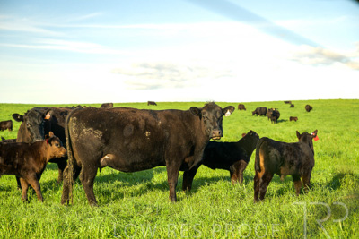 October 2022 / Mt-Shank-221017-3812