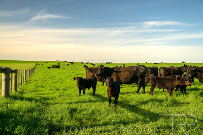 October 2022 / Mt-Shank-221017-3813