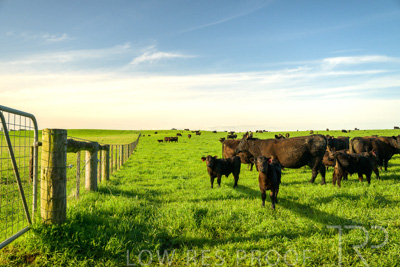 October 2022 / Mt-Shank-221017-3814