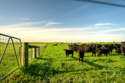 October 2022 / Mt-Shank-221017-3816