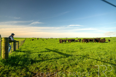 October 2022 / Mt-Shank-221017-3820