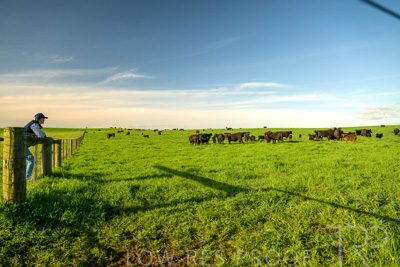 October 2022 / Mt-Shank-221017-3825