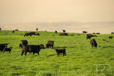 October 2022 / Mt-Shank-221017-3829