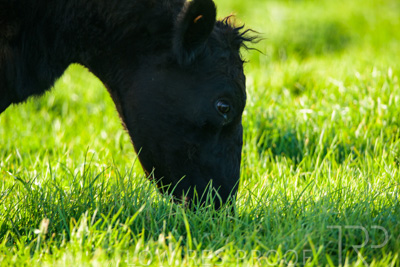 October 2022 / Mt-Shank-221017-3838