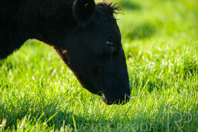 October 2022 / Mt-Shank-221017-3839