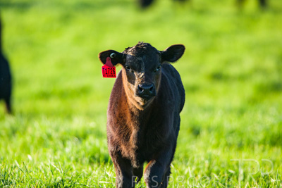 October 2022 / Mt-Shank-221017-3955