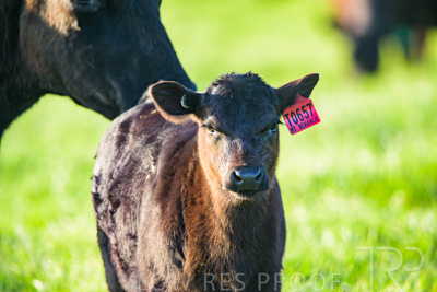 October 2022 / Mt-Shank-221017-4029