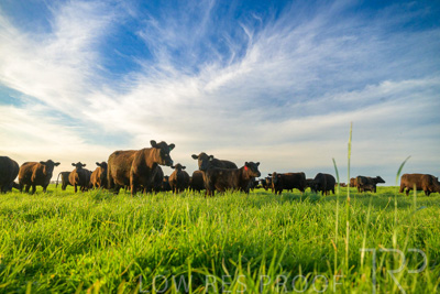 October 2022 / Mt-Shank-221017-4130