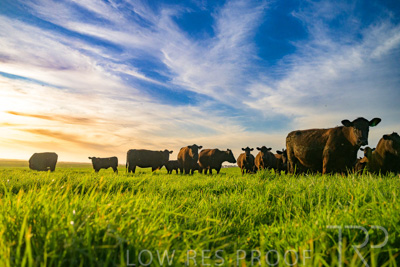 October 2022 / Mt-Shank-221017-4138