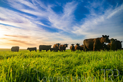 October 2022 / Mt-Shank-221017-4140