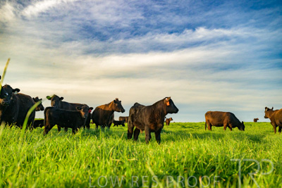 October 2022 / Mt-Shank-221017-4145