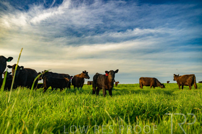 October 2022 / Mt-Shank-221017-4159