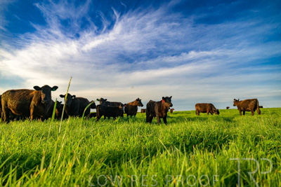 October 2022 / Mt-Shank-221017-4167