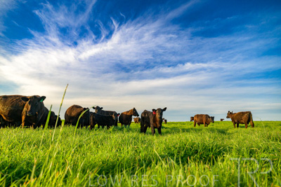 October 2022 / Mt-Shank-221017-4175