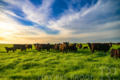 October 2022 / Mt-Shank-221017-4200