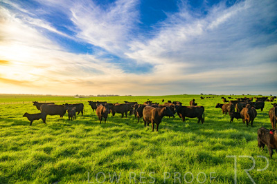 October 2022 / Mt-Shank-221017-4204