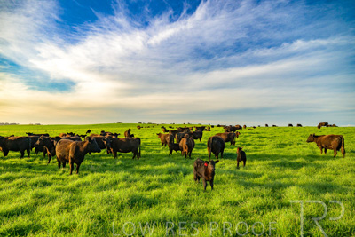 October 2022 / Mt-Shank-221017-4206