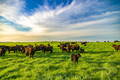 October 2022 / Mt-Shank-221017-4208