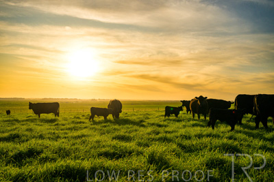 October 2022 / Mt-Shank-221017-4213