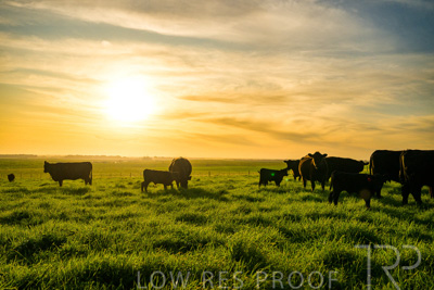 October 2022 / Mt-Shank-221017-4216