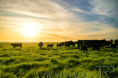 October 2022 / Mt-Shank-221017-4217