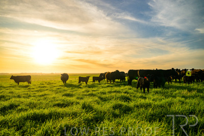 October 2022 / Mt-Shank-221017-4221