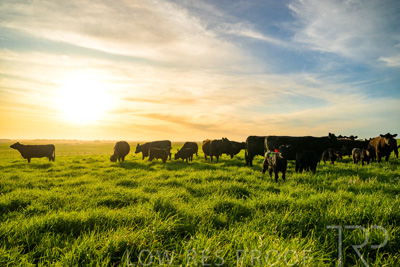 October 2022 / Mt-Shank-221017-4225