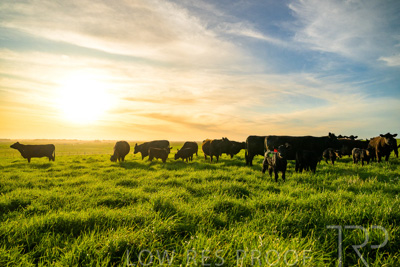 October 2022 / Mt-Shank-221017-4227