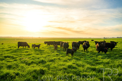 October 2022 / Mt-Shank-221017-4230