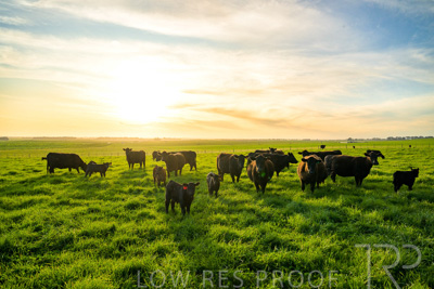 October 2022 / Mt-Shank-221017-4237